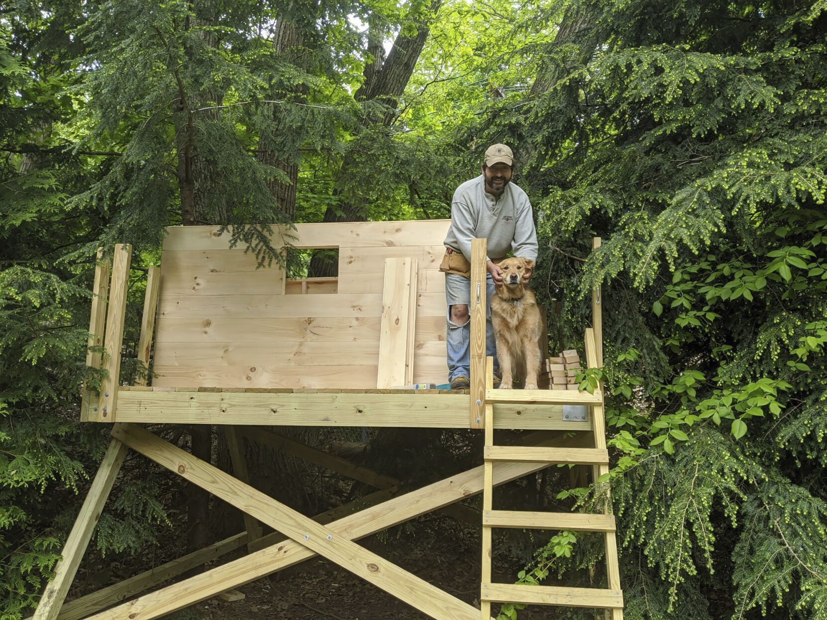Treehouse